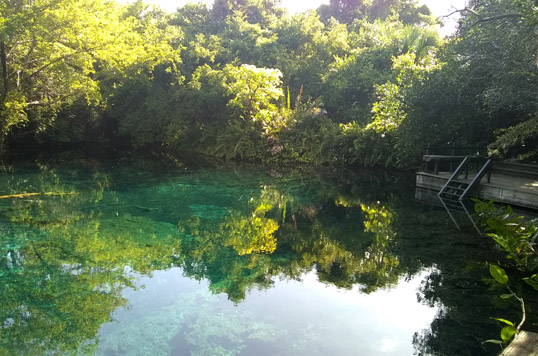 Proyectos costeros y marinos sustentables en Punta Cana